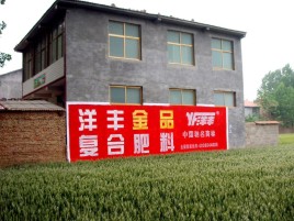江永如何让墙体广告展现最大化效果