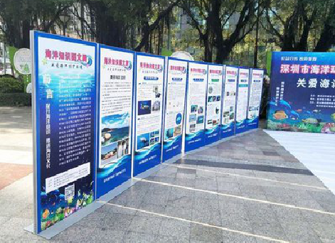 江永KT板的种类和知识。